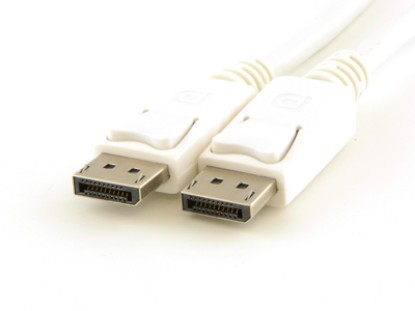 Picture of DisplayPort Cable